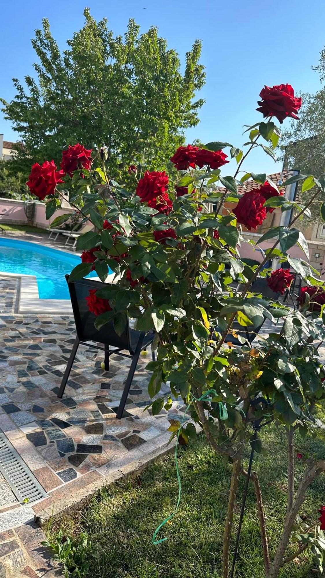 Villa Baldi -Apartmani Danny Tar-Vabriga Екстериор снимка