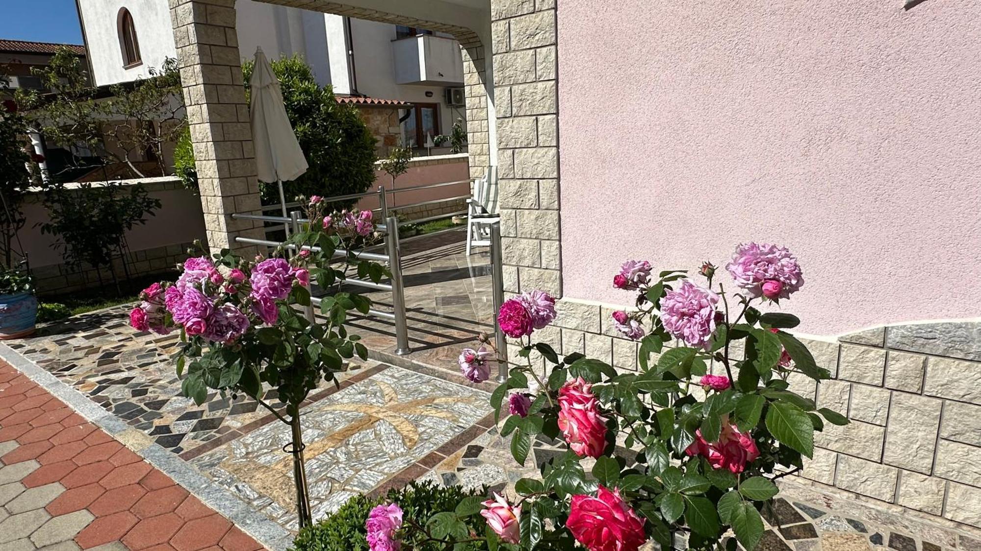 Villa Baldi -Apartmani Danny Tar-Vabriga Екстериор снимка