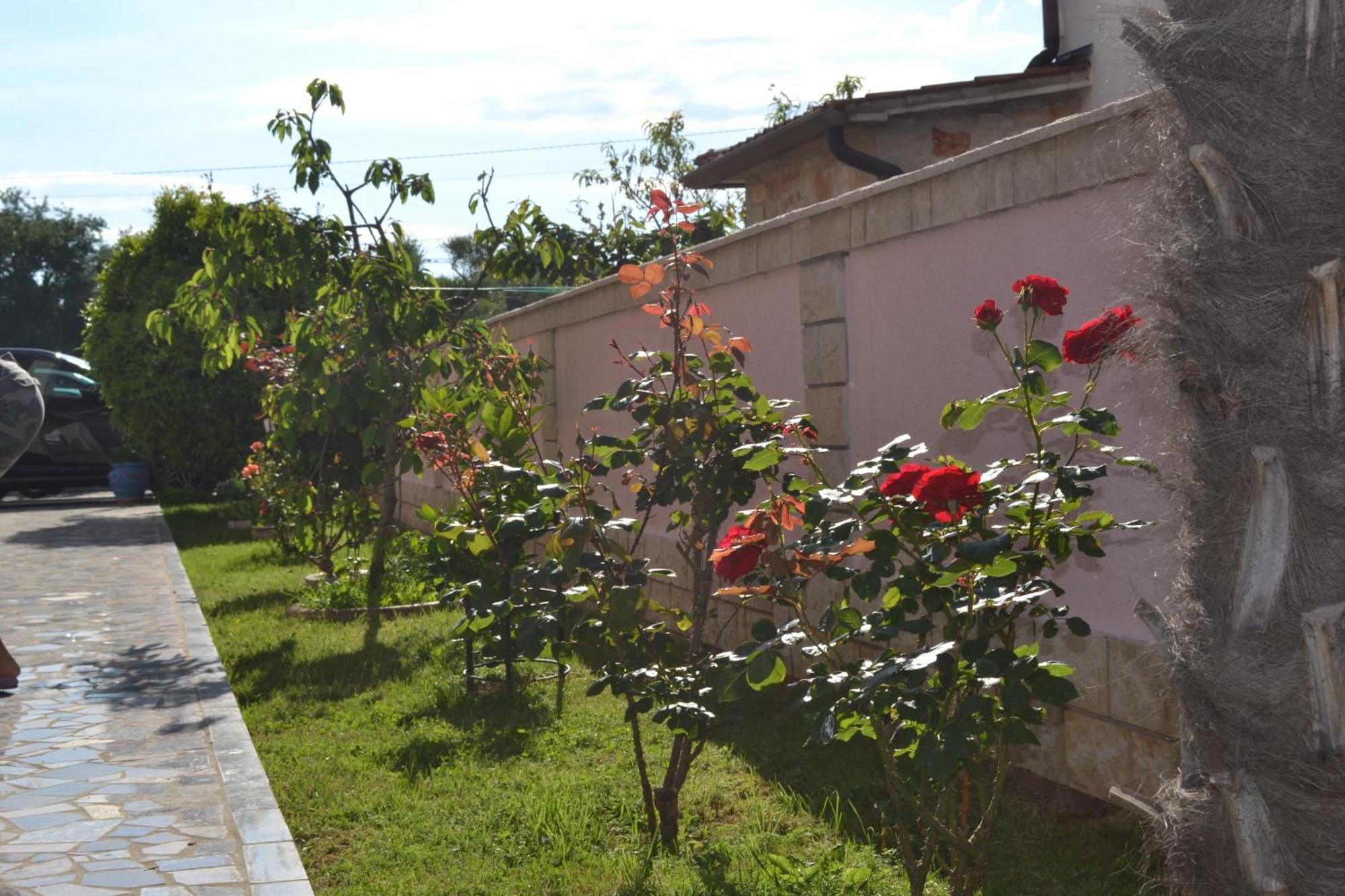 Villa Baldi -Apartmani Danny Tar-Vabriga Екстериор снимка