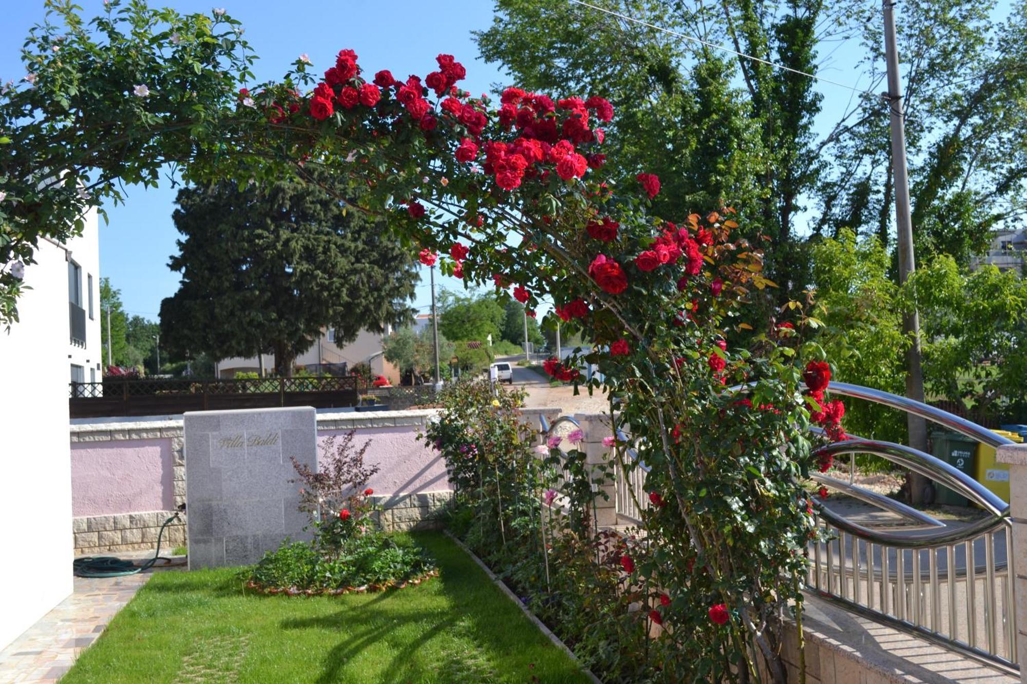 Villa Baldi -Apartmani Danny Tar-Vabriga Екстериор снимка